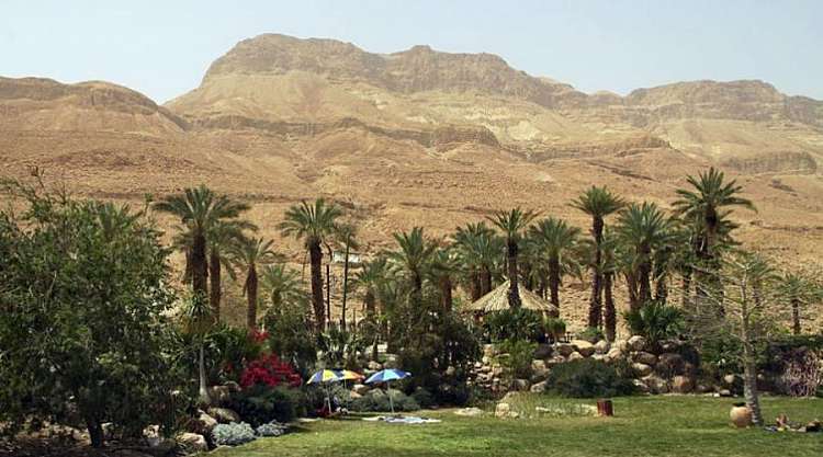 Ein Gedi